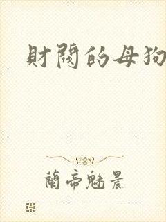 财阀的母狗们
