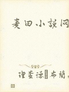 麦田小说网