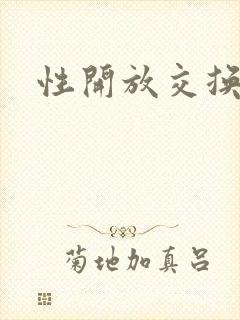 性开放交换小说