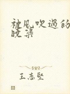 被风吹过的夏天晓渠