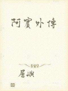 阿宾外传