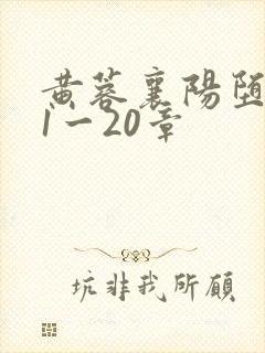 黄蓉襄阳堕落史1一20章