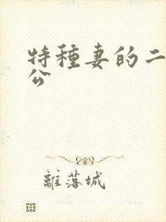 特种妻的二手老公