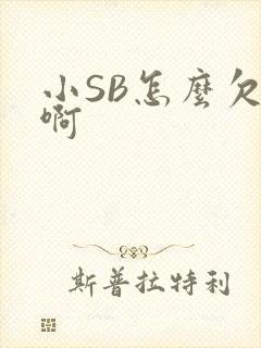 小SB怎么欠C啊