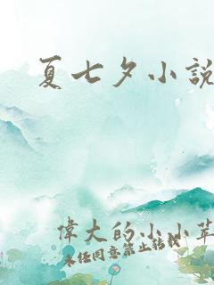 夏七夕小说