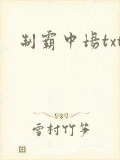 制霸中场txt