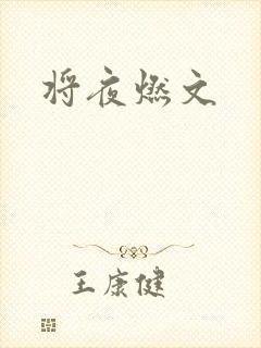 将夜燃文