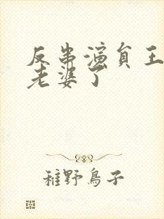 反串演员王帅换老婆了