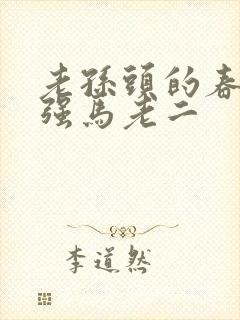 老孙头的春天马强马老二