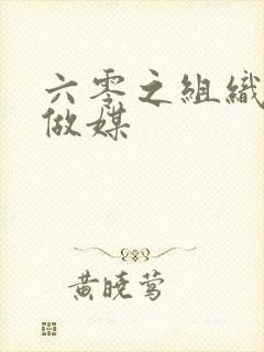 六零之组织给我做媒