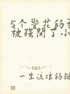 5个警花的初苞被强开了小说