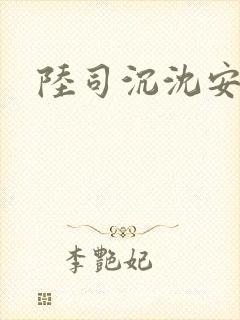 陆司沉沈安