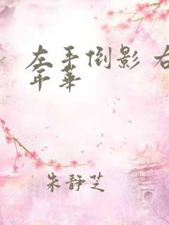 左手倒影 右手年华