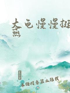 大龟慢慢挺进张燕