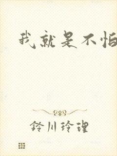 我就是不怕小说