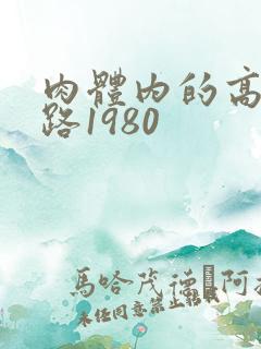肉体内的高速公路1980