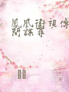 凤凰卫视傅晓甜间谍罪