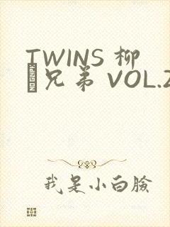 TWINS 柳澤兄弟 VOL.2