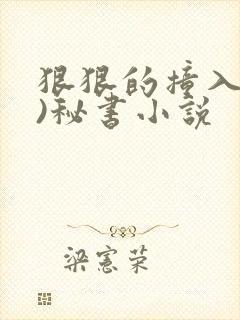 狠狠的撞入(h)秘书小说