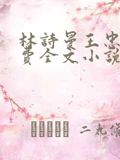 林诗曼王忠文免费全文小说的名称