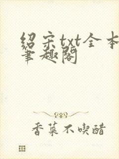 绍宋txt全本笔趣阁