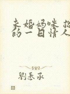 未婚妈咪 总裁的一日情人