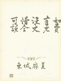 可惜没有如果小说全文免费阅读