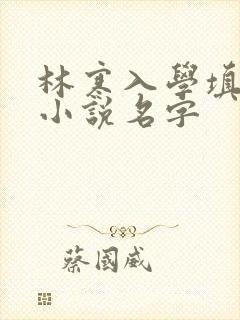 林寒入学填未婚小说名字
