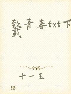 致青春txt下载