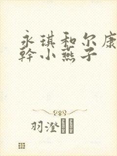 永琪和尔康一起干小燕子