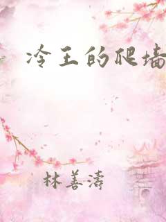 冷王的爬墙丑妃