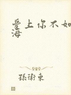 爱上你不如爱上海
