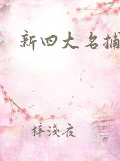 新四大名捕全集