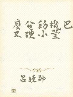 么公的机巴又粗又硬小莹