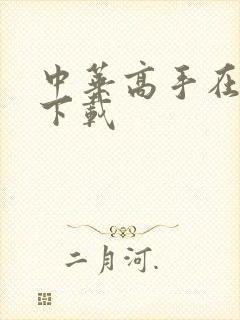 中华高手在异世下载