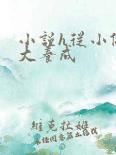 小说h从小做到大养成