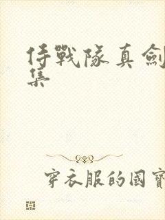 侍战队真剑者全集