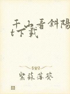 千山看斜阳txt下载