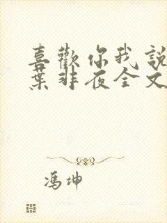 喜欢你我说了算叶非夜全文免费阅读