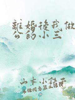 离婚后我做了老公的小三