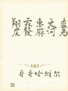 翔霖车文爽到头皮发麻河马的秘密