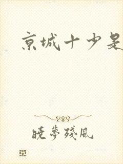 京城十少是谁