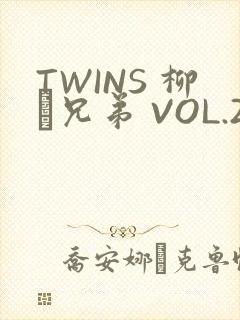 TWINS 柳澤兄弟 VOL.2