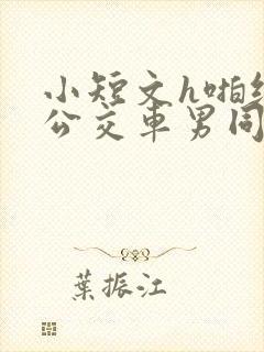 小短文h啪纯肉公交车男同