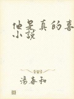 他是真的喜欢你小说