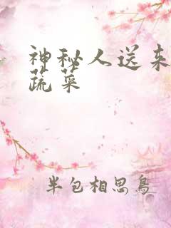 神秘人送来千斤蔬菜