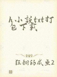 h小说txt打包下载