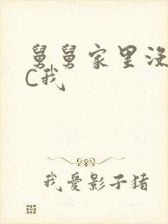 舅舅家里没人快C我