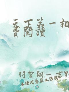 天下第一相书免费阅读