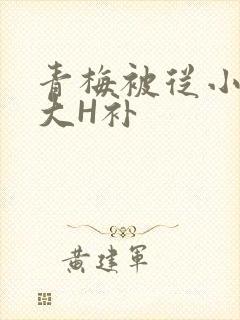 青梅被从小摸到大H补